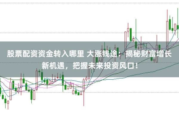 股票配资资金转入哪里 大涨钱途：揭秘财富增长新机遇，把握未来投资风口！