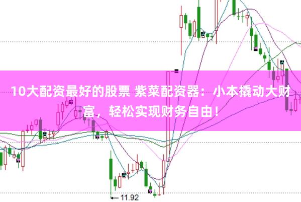 10大配资最好的股票 紫菜配资器：小本撬动大财富，轻松实现财务自由！