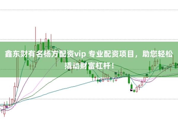 鑫东财有名杨方配资vip 专业配资项目,助您轻松撬动财富杠杆!