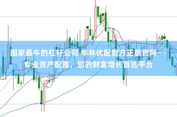 国家最牛的杠杆公司 华林优配官方正版官网——专业资产配置，您的财富增长首选平台