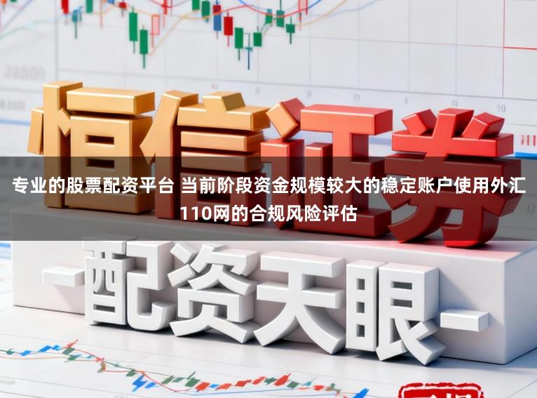 专业的股票配资平台 当前阶段资金规模较大的稳定账户使用外汇110网的合规风险评估