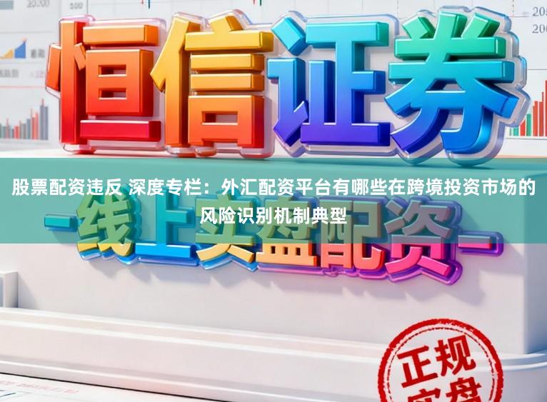 股票配资违反 深度专栏：外汇配资平台有哪些在跨境投资市场的风险识别机制典型