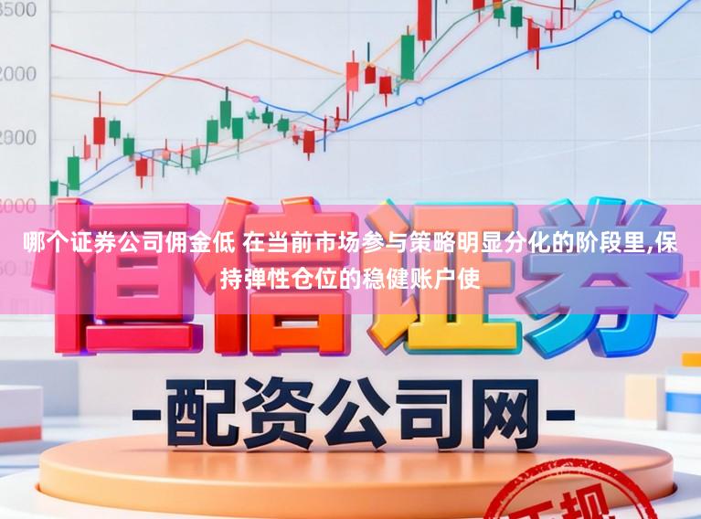 哪个证券公司佣金低 在当前市场参与策略明显分化的阶段里，保持弹性仓位的稳健账户使