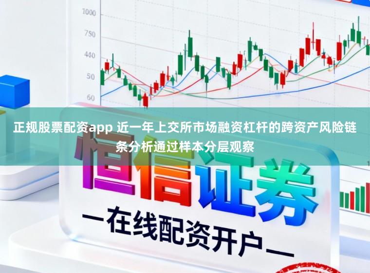 正规股票配资app 近一年上交所市场融资杠杆的跨资产风险链条分析通过样本分层观察