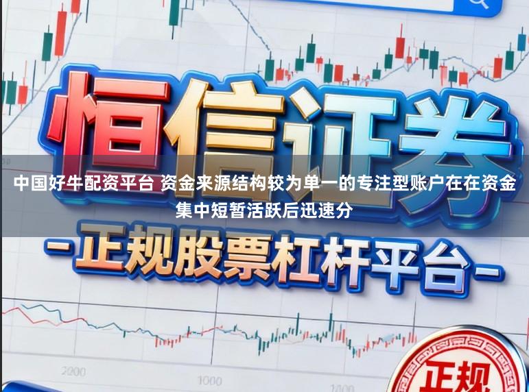 中国好牛配资平台 资金来源结构较为单一的专注型账户在在资金集中短暂活跃后迅速分